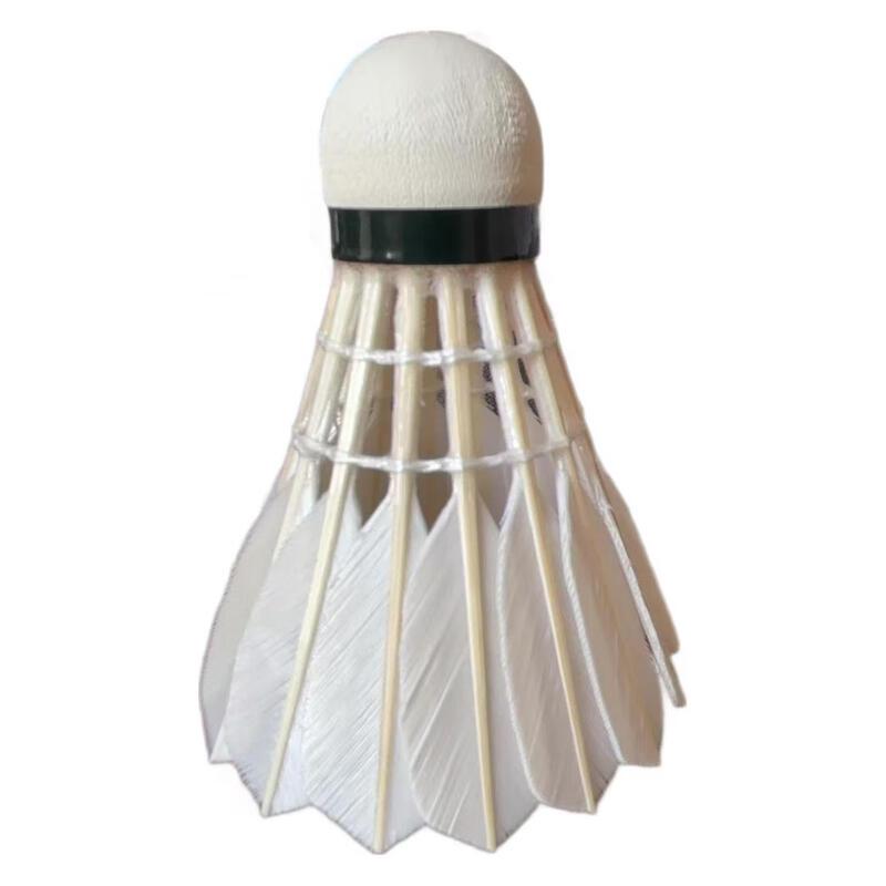 Badminton Competition Shuttlecock