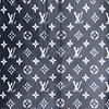 Louis Vuitton Casual Short Skirts Women's Black 1A60TD