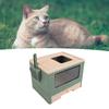 Gatos – Cuidados de gatos