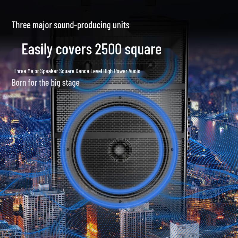 Newmine Portable Outdoor KTV Bluetooth Speaker