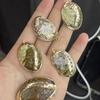 3Pcs, Natural Shell Zinc Alloy Pendant, Marine Style Irregular Charms for DIY Necklace Bracelet Anklet Accessories, Jewelry Making, Home Decor