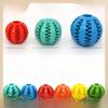 Dog Treat Dispensing Ball - TPR Rubber Educational & Teeth Cleaning Watermelon Toy