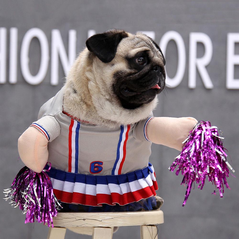 cat cheerleader costume