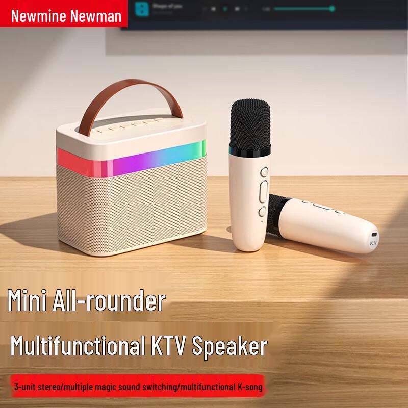 Newmine DP99 Wireless KTV Microphone Speaker System