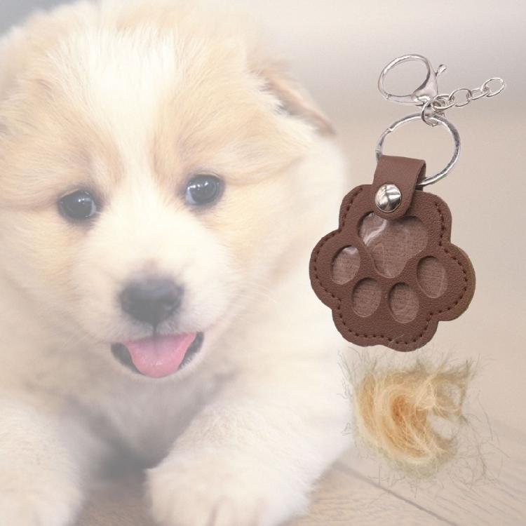 PU Leather Pet Hair Memorial Keychain Space Saving Hair Preservation Multifunctional Designs Portable Accessory