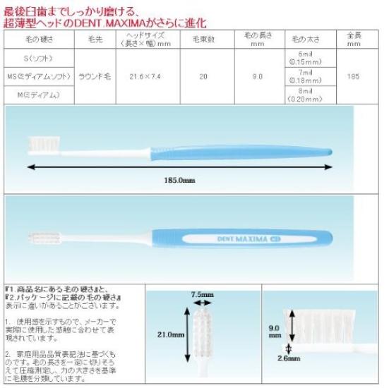 Lion Maxima Toothbrush MAXIMA Medium DENT. 12-Pack