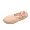 Girls' Soft Sole Ballet Practice Shoes - No Tie, Canvas, Flesh Color for Professional Use