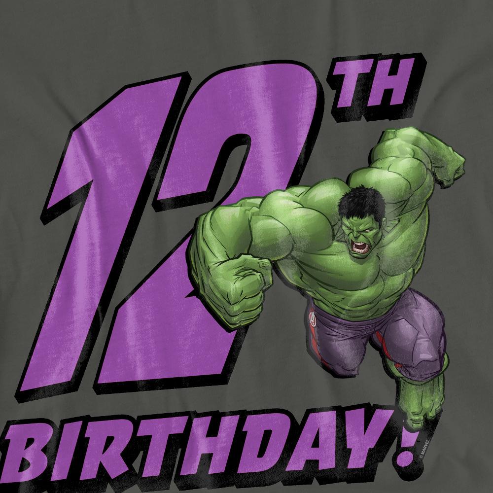 The Incredible Hulk Womens/Ladies 12th Birthday T-Shirt