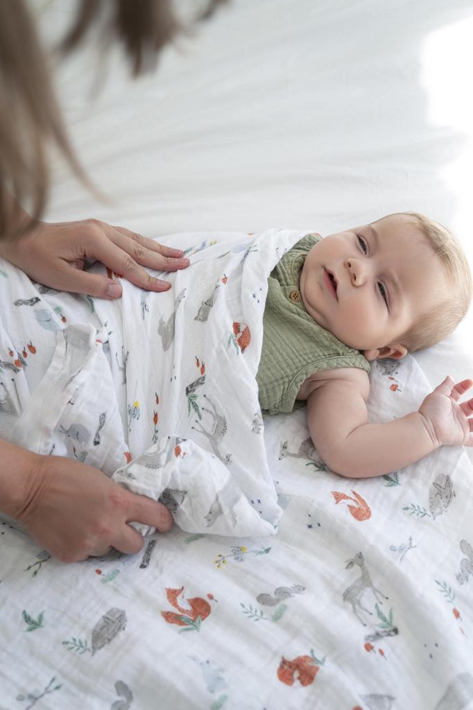 Aden anais Muslin Set för Baby SWADABASWC20011J + Swaddles, 2, Naturligt, 120x120cm, 100% Bomull, Andningsbart, Anti-Moro Reflektion, Mångsidigt, Gåva,