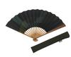 Kyoto Fan, Kasumi, Large, Handmade by Kyoto Artisans, Includes Fan Bag and Presentation Box, Green