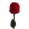 Romantisk Rød Rose Forlovelse Bryllup Ringboks Øredobber Smykker Gaveeske
