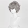 LAOBAO Till Cosplay Wig, Gray, Short Hair, Heat Resistant, Costume Wig, Halloween Costume Accessory (Till A)