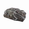 Aquarium Dinosaur Reliquiae Decoration Reptile Resin Dinosaur Reliquiae Rock Hideout for Fish Tank