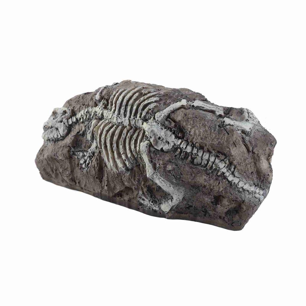 Aquarium Dinosaur Reliquiae Decoration Reptile Resin Dinosaur Reliquiae Rock Hideout for Fish Tank