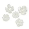 100pcs/lot Spacer Beads Pearl White Imitation Pearl Flower End Bead Caps For  DIY Jewelry Making Findings Accessories
