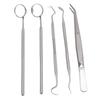 5pcs Professional Oral Health Care Pick Tools Stainless Steel Teeth Cleansing Calculus Remover Tool for Dentist