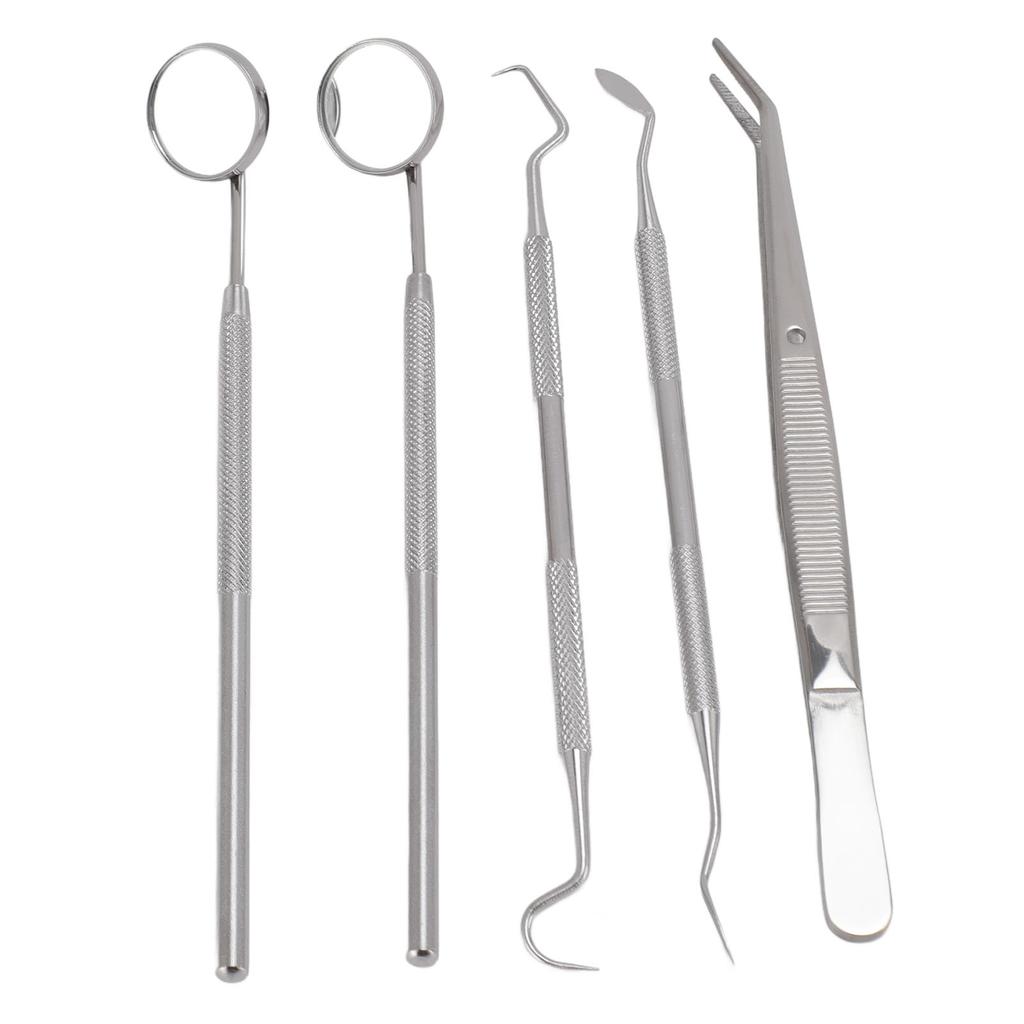 5pcs Professional Oral Health Care Pick Tools Stainless Steel Teeth Cleansing Calculus Remover Tool for Dentist