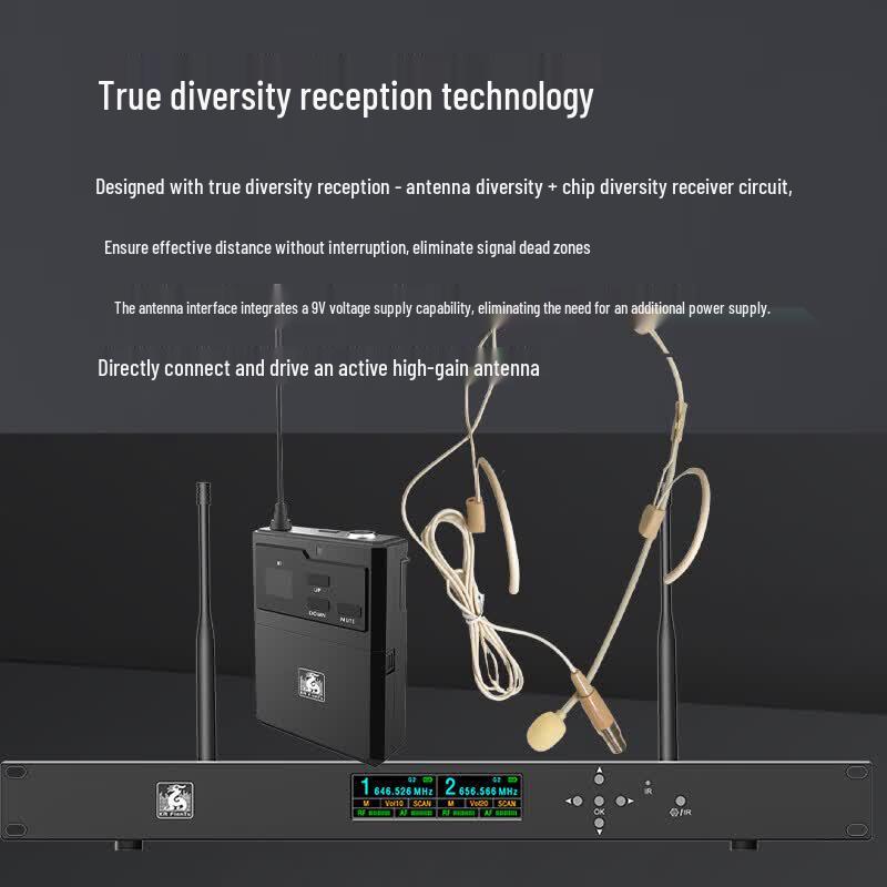 FionTu Dual Wireless Headset Conference Microphone System (CN Version)