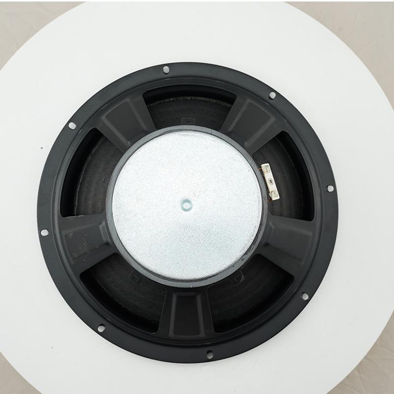 TYR 10" 110-Magnet High Power Outdoor Audiophile Speaker Horn