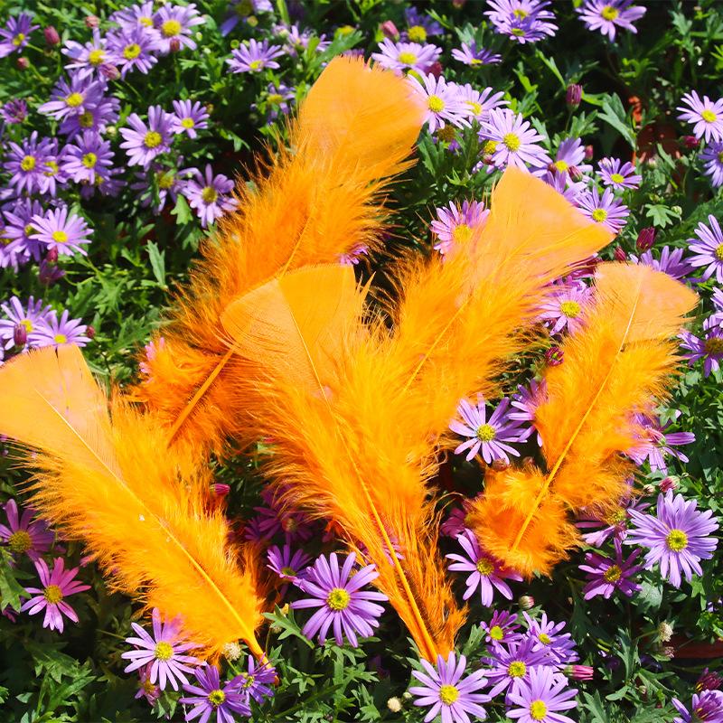 50Pcsdiy Handmade Feathers Flat Turkey Feathers Large Head Piece Feathers, Mask Decorative Clothing Material