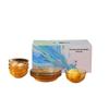 Zhi Shi 8-Piece Minimalist Amber Glass Dinnerware Set