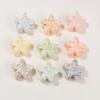 Glitter Flower Hair Clips-Transparent Acrylic Multi-color Fashion Party Hair Accessories with Carton Packaging for Women