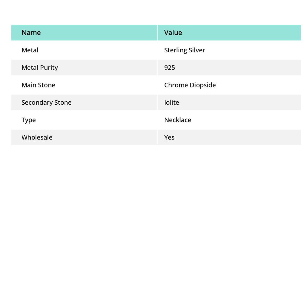 Natural Chrome Diopside,Iolite Gemstone 925 Sterling Silver Necklace 18" I8a29