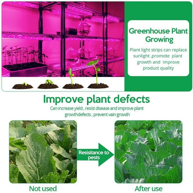 Luz LED de Crescimento de Espectro Completo USB 5V Lâmpada Fito LED para Mudas Flores Estufa Jardim Hidropônico Cultivo Interno Lâmpada Fito