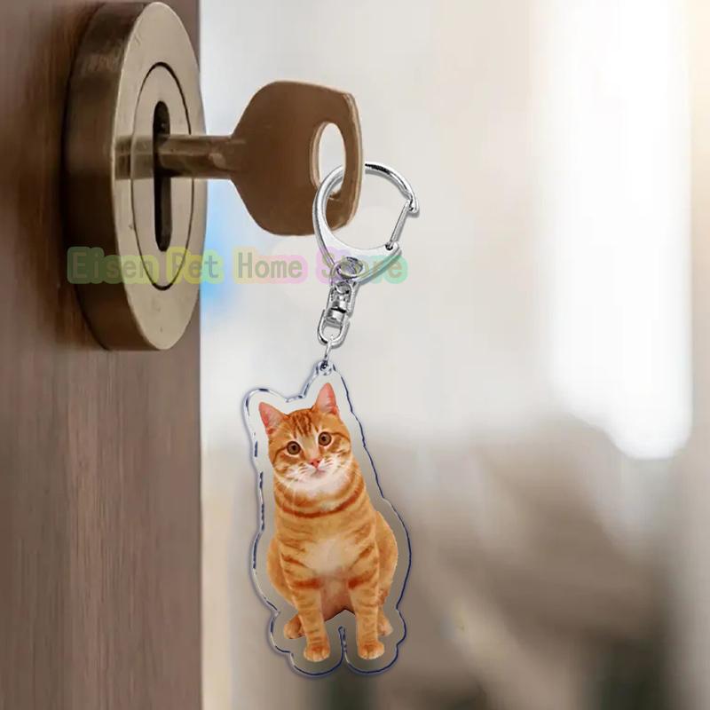 Funny Cat Key Chain Keychains Ring for Accessories Bag Pendant Keyring Jewelry Cute Animal Pet Llaveros Friends Gifts Cool Cats