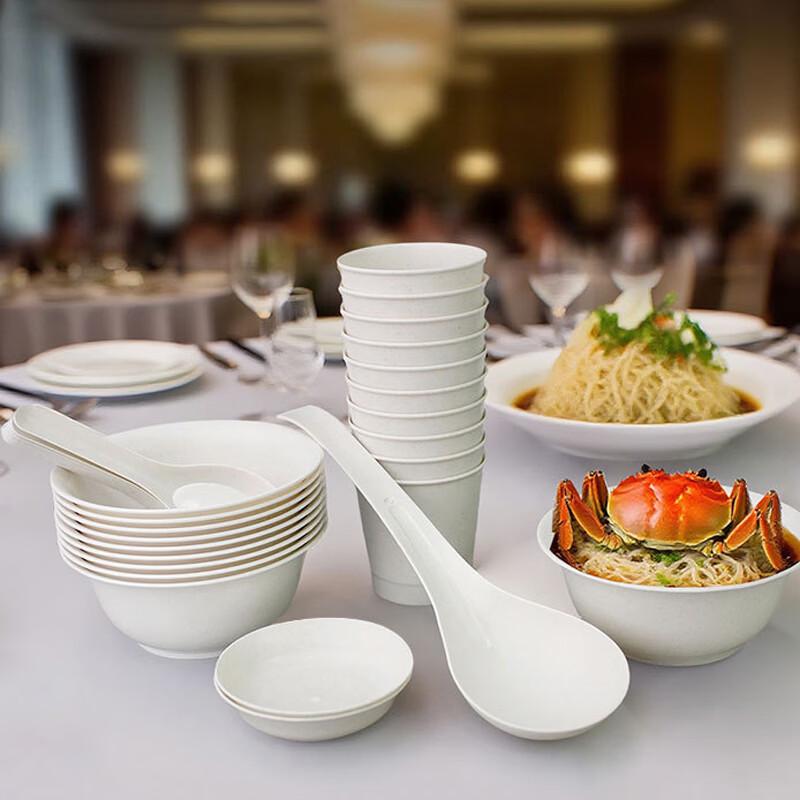 BATANUV Disposable Tableware Set for 10