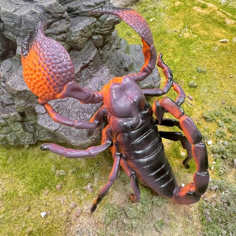 Wild Insect Animals Model Set Butterfly Scorpion Mantis Cicada Lizard Action Figures Miniature Kid Education Halloween Toy