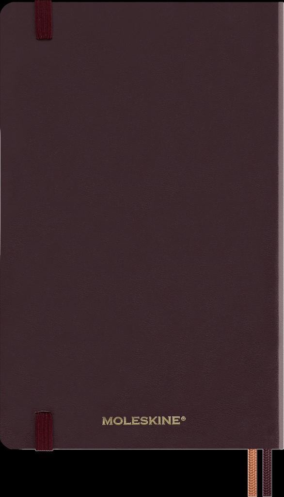 Moleskine Harry Potter 2025 Planner, January Start, 1 Page Per Day, 12-Month Daily Diary, Large Size (13cm W x 21cm H), Hardcover, Axio DHP12DC3Y25