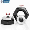 GUWANJI 304 Stainless Steel Black Hex Thin Lock Nuts