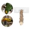 Parrots Outdoor Portable Wood Perch 30CM Pet Bird Shower Standing Rod with Suction Cup