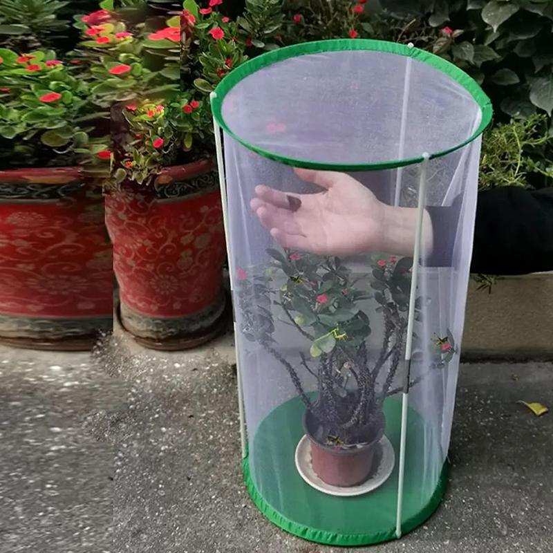 Gabbia per Insetti Farfalla Habitat per Farfalle Casa di Allevamento Portatile Gabbia di Osservazione Insetti Visibili Forniture per Giardino