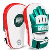 Martial Arts Training Pad Boxing Kickboxing Taekwondo Muay Thai Punch Kick Practice Target