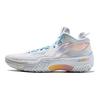 Li Ning Jie Ao Cushioning Slip Resistant Abrasion Resistant Rebound Grip Mid top Outdoor Basketball Shoes Men's ABFT035-9