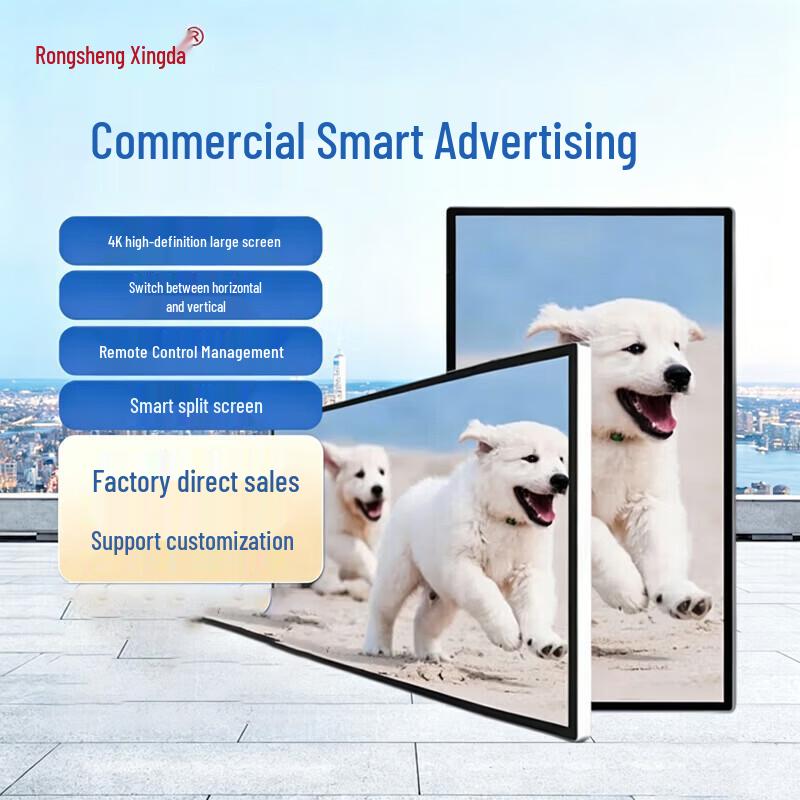 Rong Sheng Xing Da 55-inch Wall-Mounted Infrared Touch Kiosk CN Plug (adapter Included)