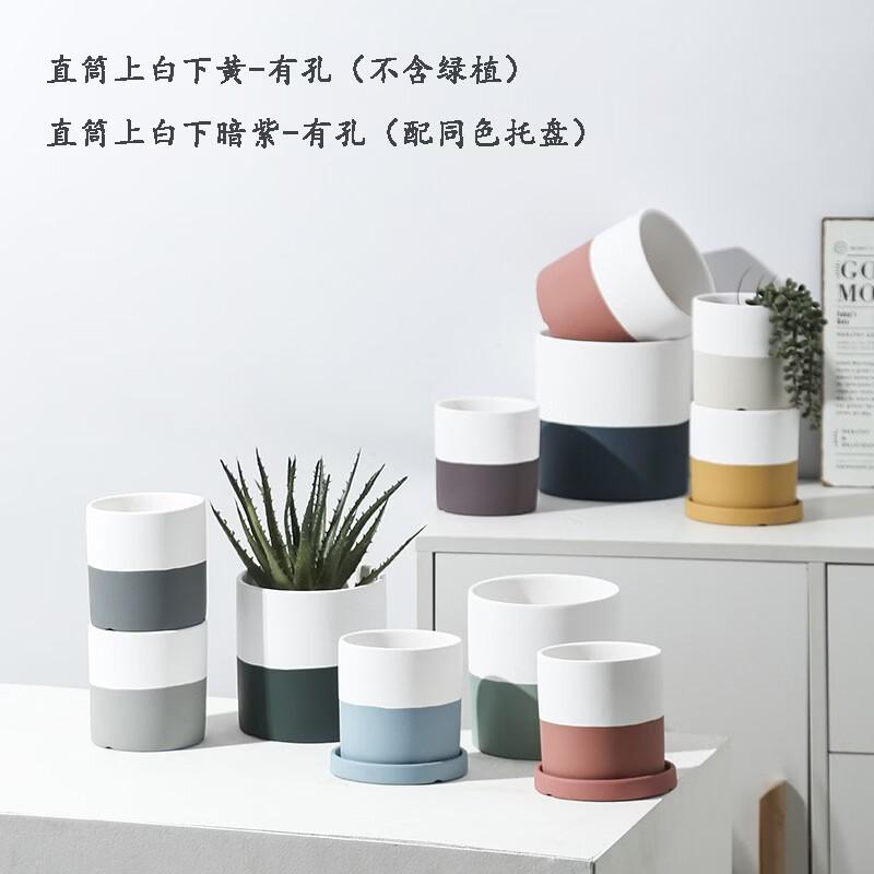 Morandi Ceramic Flower Pot