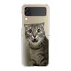 Transparent Phone Case For Samsung Galaxy Z Flip 3 4 5 6 7 Hard Folding PC Z Flip3 Flip4 Cover Funny Cartoon Korean Cat Couple