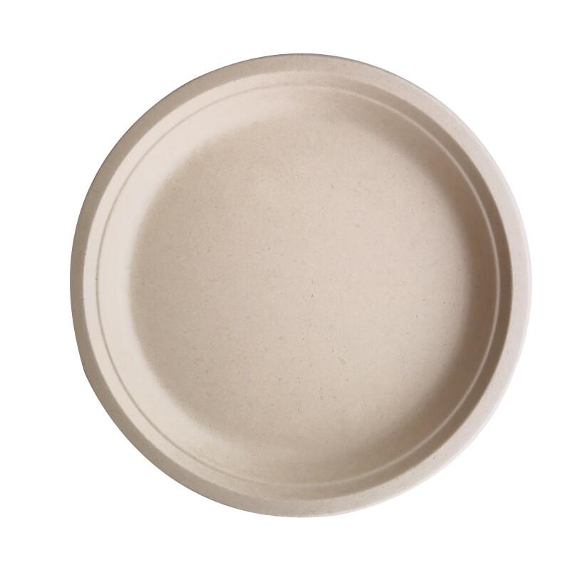 

Disposable Biodegradable Paper Plates 10 inches