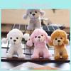 Peluche Chien Teddy Mignon Ultra-douce Peluche Courte En Blanc Rose Marron Et Gris