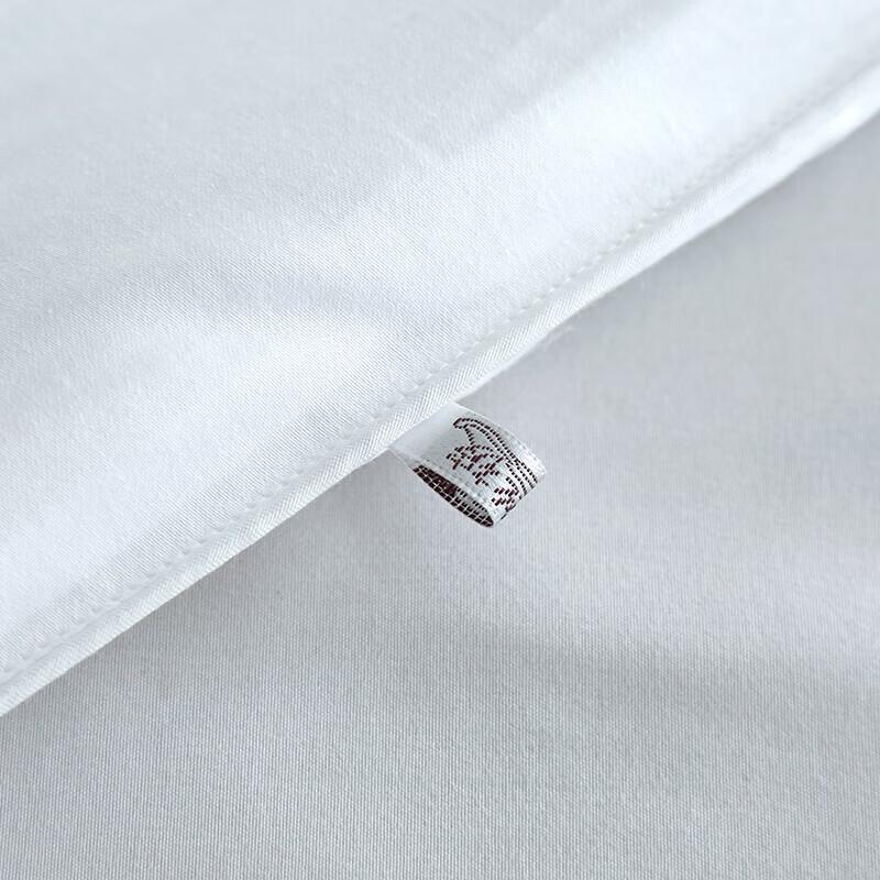 Arctic Velvet Meina Pure Silk Quilt