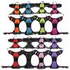 Pet Dog Multi-layer Integrated Leash Harness