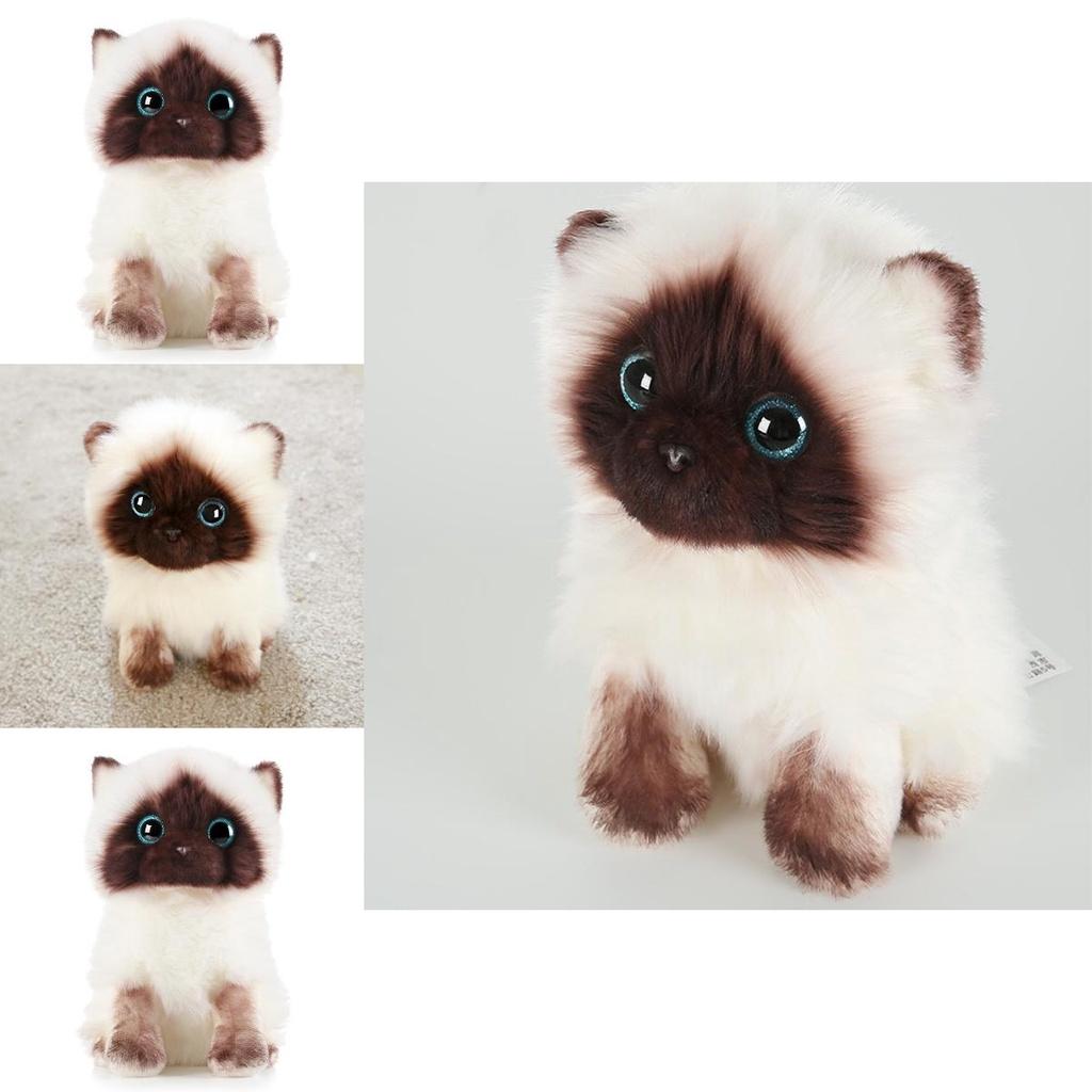 20cm/26cm Siamese Cat Plush Toy Cute Soft Gift Blue Sequins Eyes Dolls