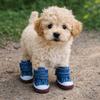 4pcs/set Adjustable Non-Slip Pet Shoes Breathable Rubber Soles Dog Canvas Sneakers Wear-Resistant Dog Casual Shoes Pet Supplies