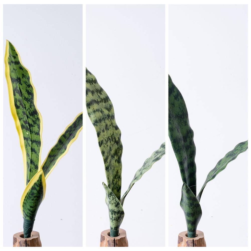 Artificial Snake Plant Decoration Decorating Supplies Photography Props Green Faux Greenery Versatile Application