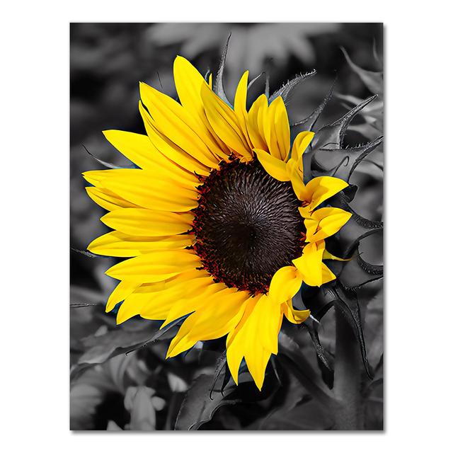 

Плакат с подсолнухом и печать на холсте, настенная живопись, винтажные картины для гостиной, кухни, современный домашний декор, без рамки 40*50cm