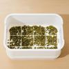 Sprout Tray Soil-Free Bean Sprouter With Lid Cultivation Germination Tray For Bean Pea Wheatgrass Growing Planting Cultivation