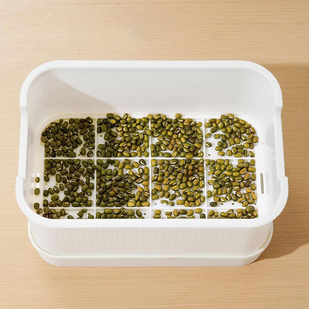Sprout Tray Soil-Free Bean Sprouter With Lid Cultivation Germination Tray For Bean Pea Wheatgrass Growing Planting Cultivation